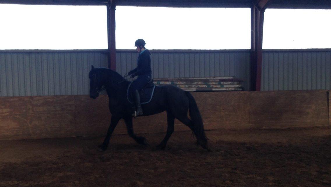 Frieser Gaia billede 8