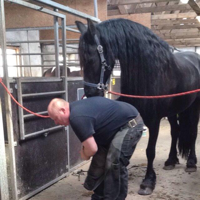 Frieser Gaia billede 11