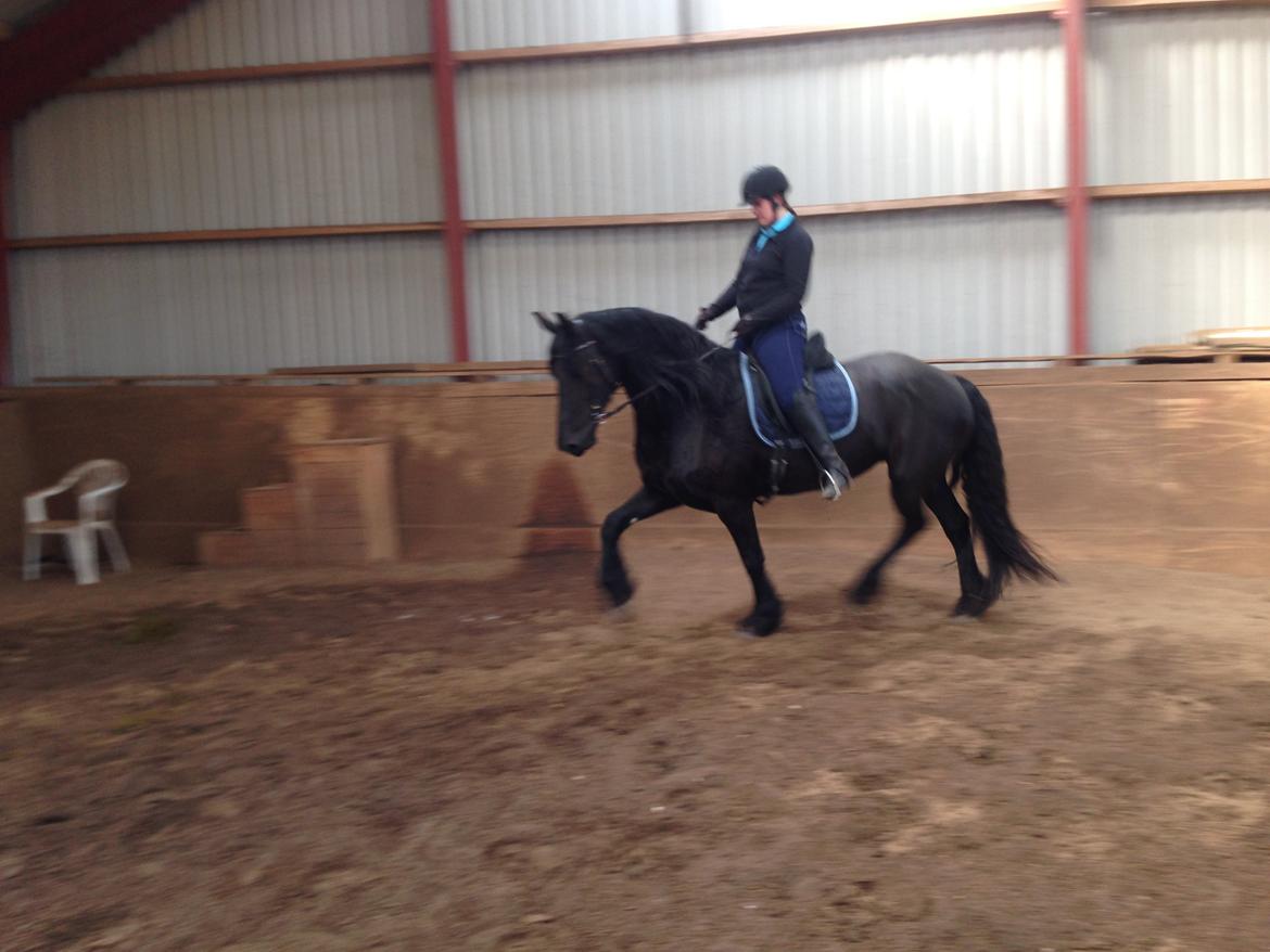 Frieser Gaia billede 4