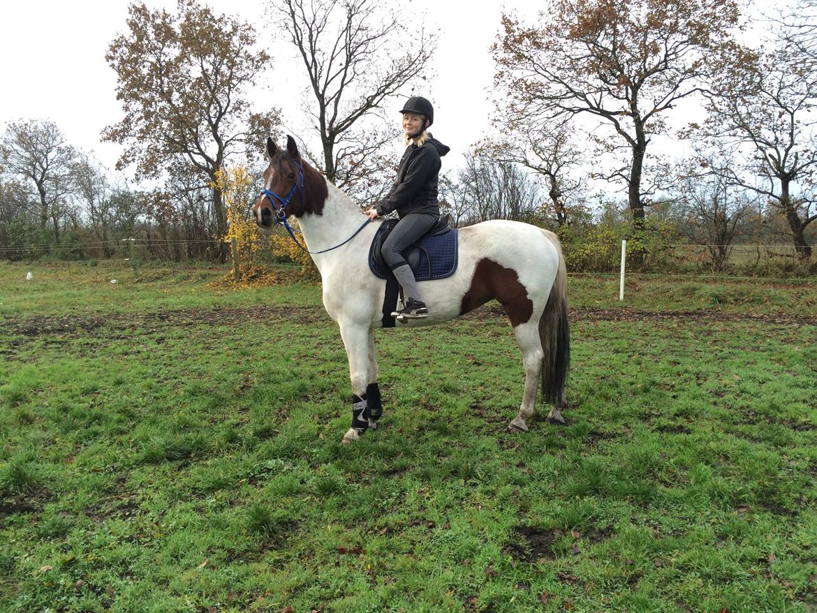 Pinto Randrupmølles Grace Kelly - første tur på Kelly ❤️ billede 10