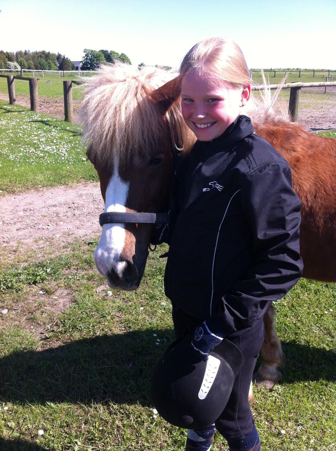 Anden særlig race Diesel billede 6