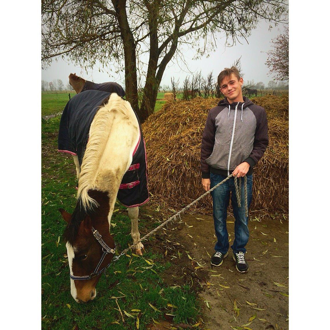 Pinto Rosenlyst's Queen Of Hearts - Mine elskede <3 billede 6