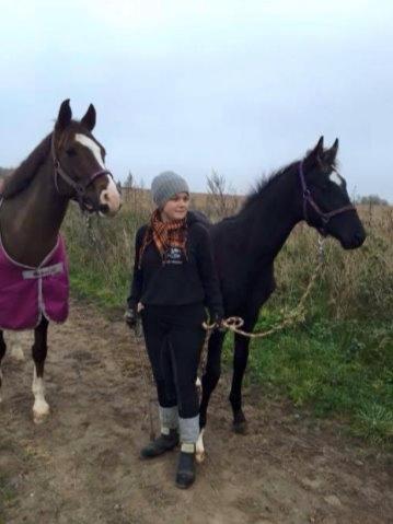 Dansk Varmblod Zetsubou die Weltrose billede 7