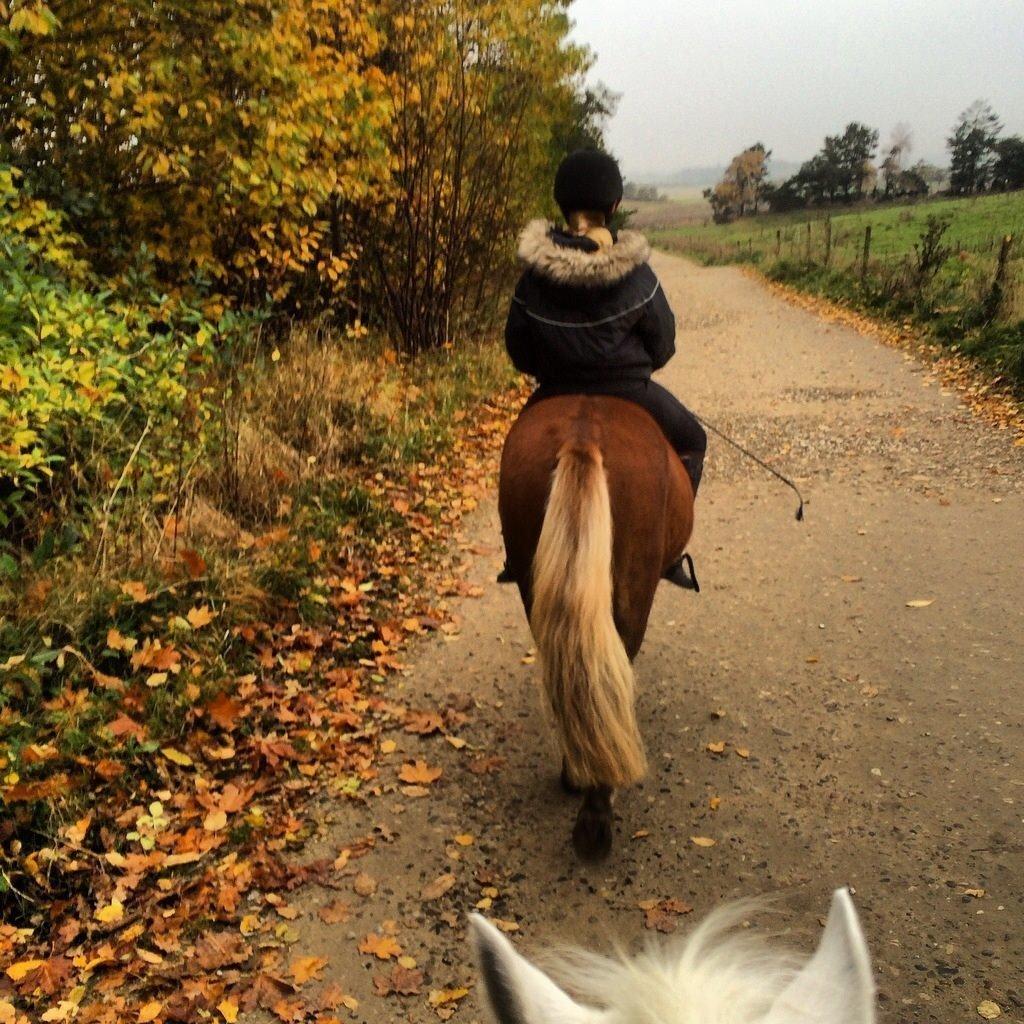 Anden særlig race Diesel - Nå enden er god, er alt ting godt. billede 11