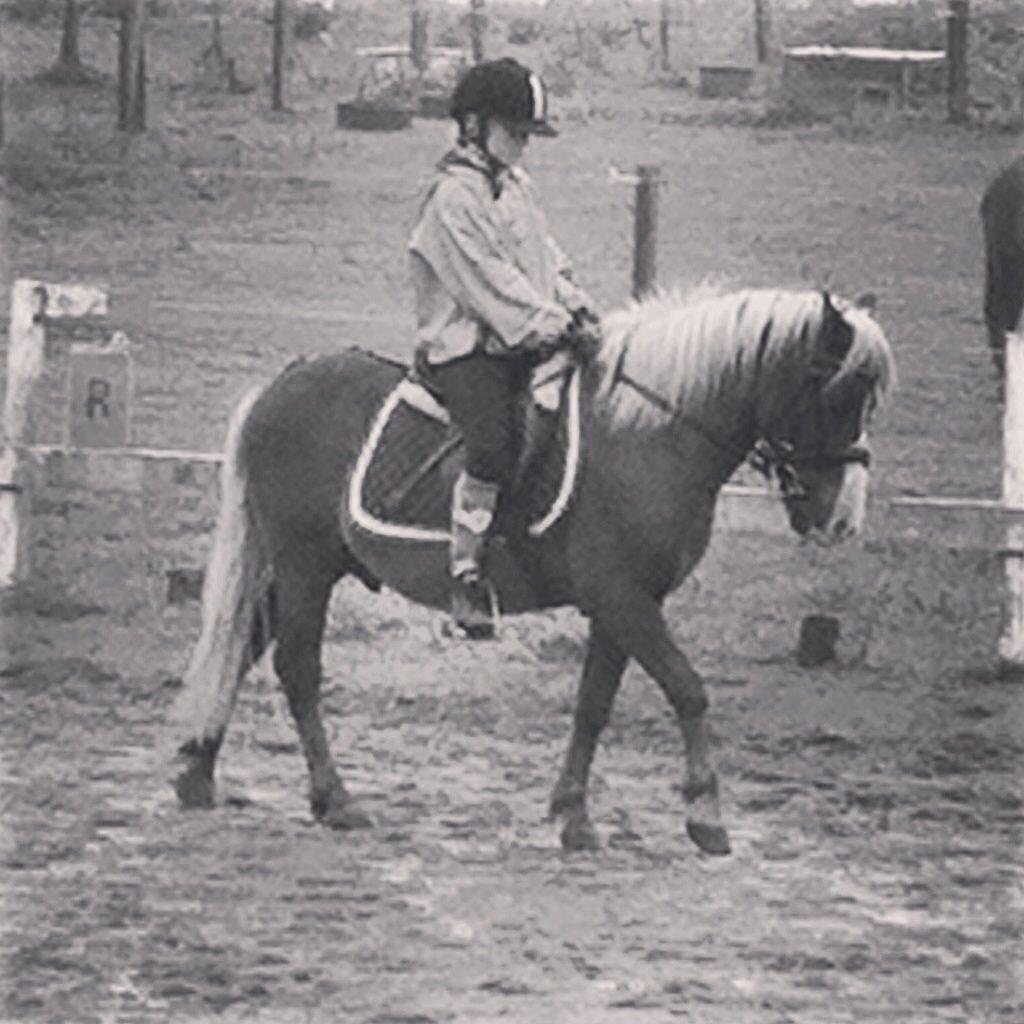 Anden særlig race Diesel - Og regnvejr er han næsten bedere :D billede 8