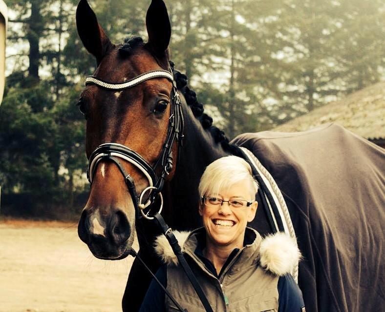 Dansk Varmblod Grandalgårds moon dancer billede 3