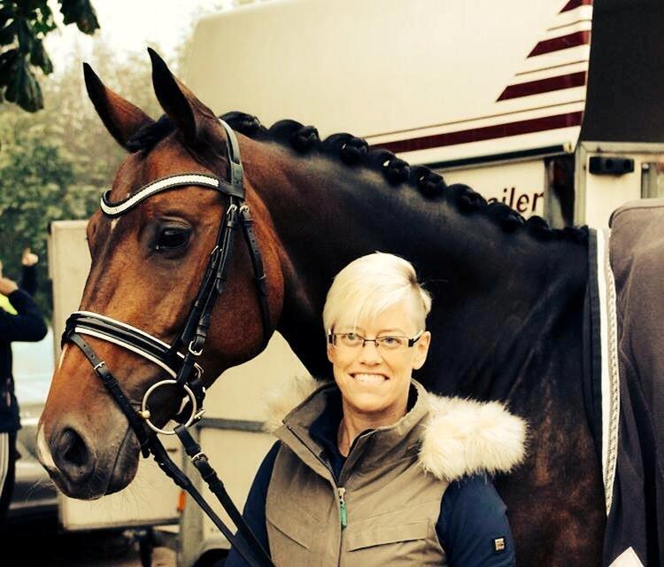 Dansk Varmblod Grandalgårds moon dancer billede 13