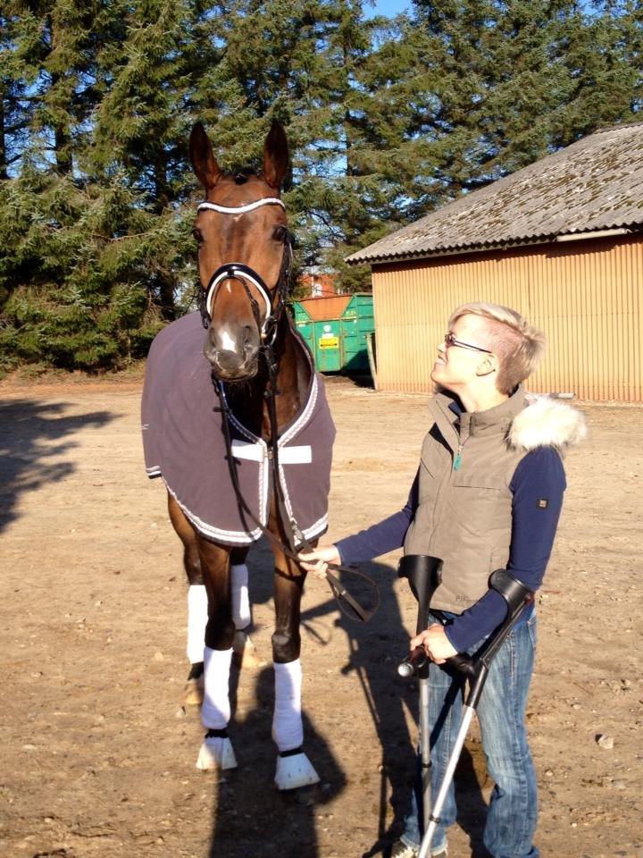 Dansk Varmblod Grandalgårds moon dancer billede 19