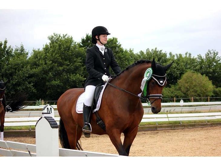 Oldenborg Java Rævdal billede 19