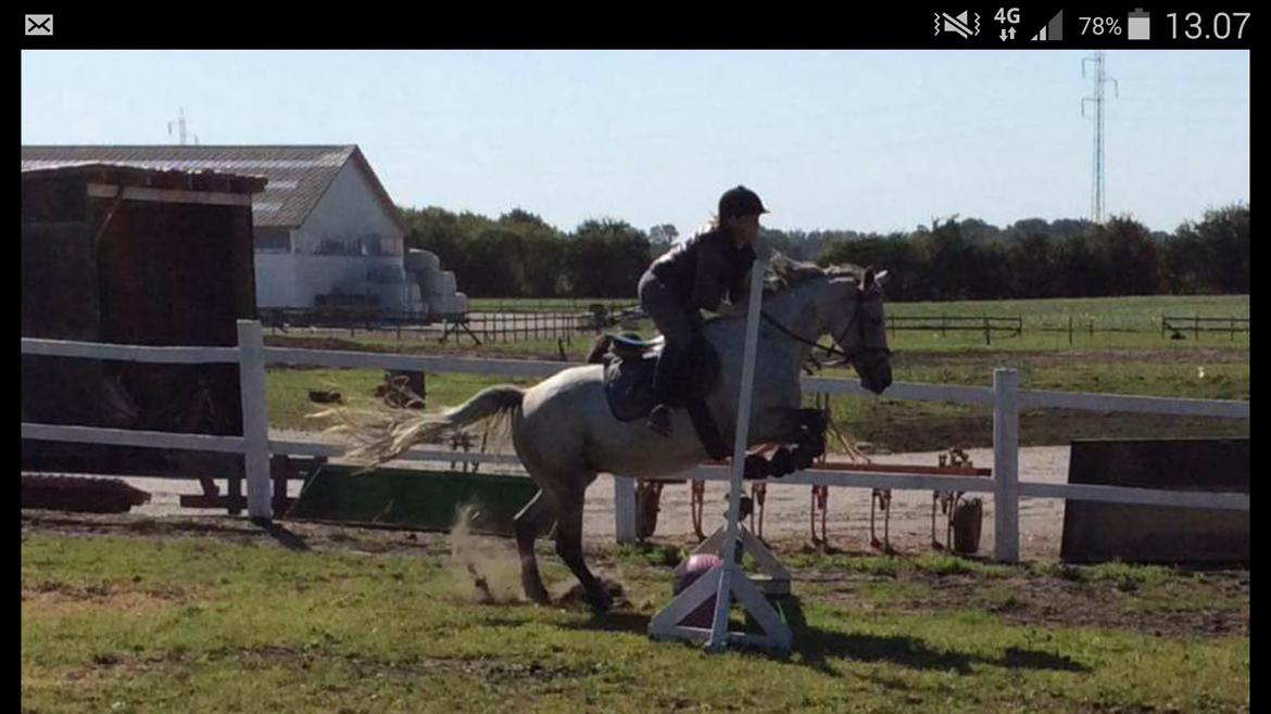 Connemara Kilmacduahg Lady billede 3