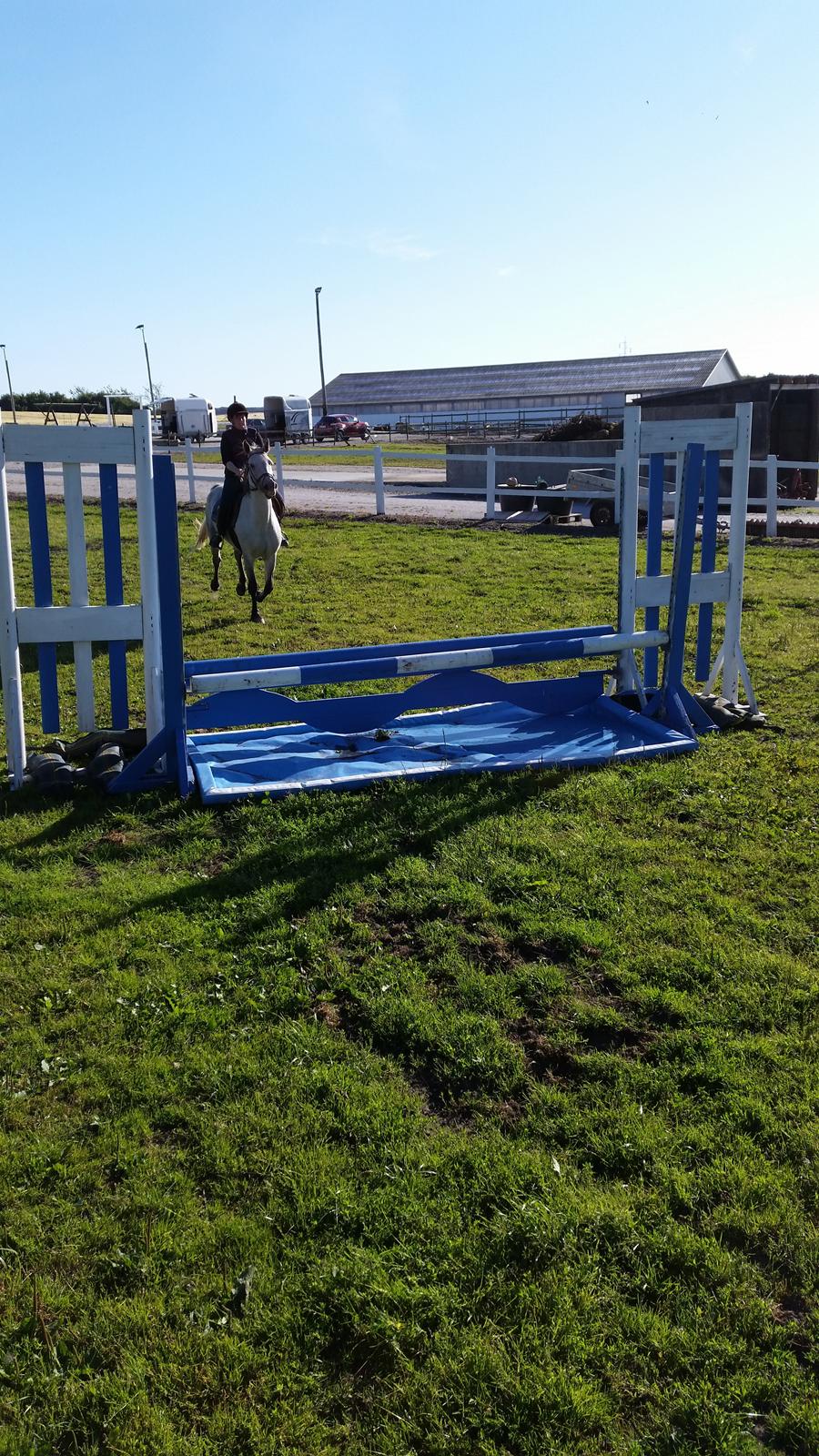 Connemara Kilmacduahg Lady billede 7