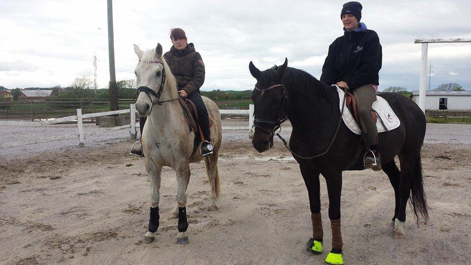Anden særlig race Fernando billede 8