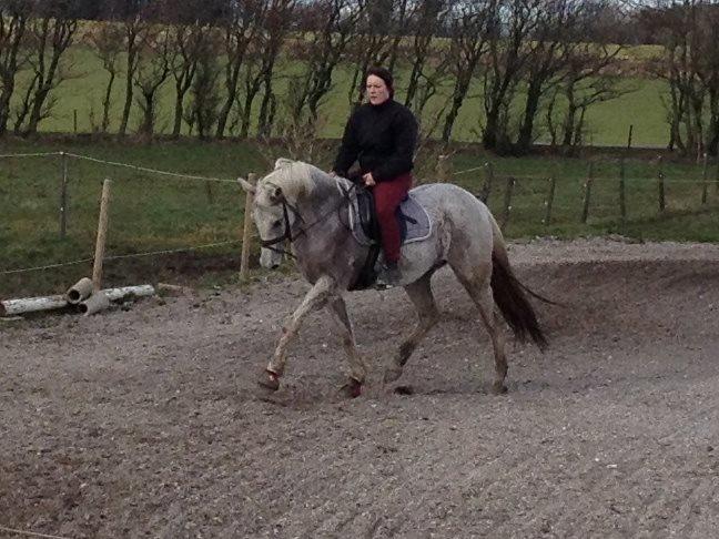 Anden særlig race Fernando billede 13
