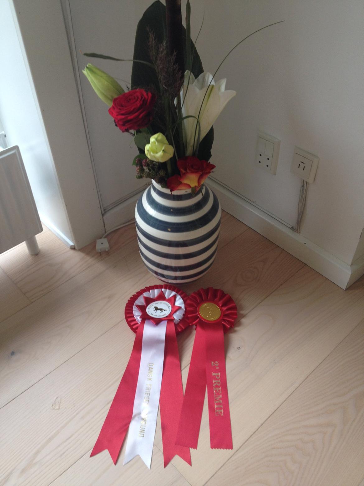 Frieser LaKriz af Grønagergaard STER - Jaaaa.... vi vandt!!:-) billede 9