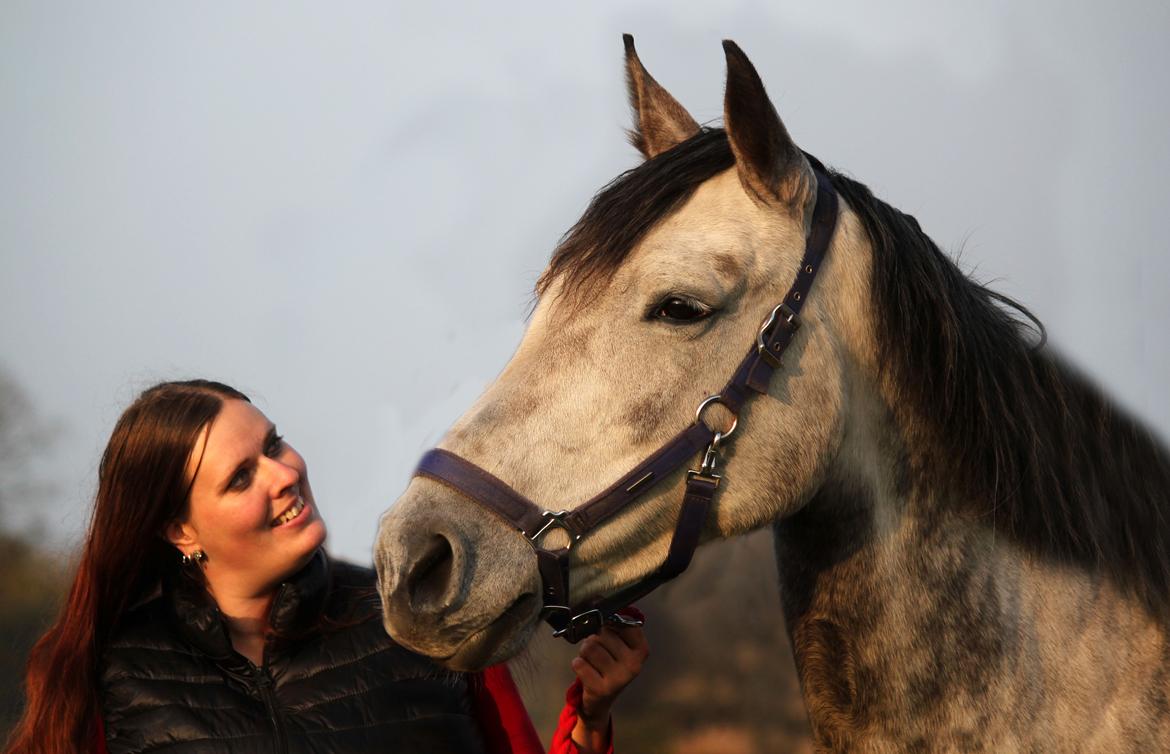 Dansk Varmblod Lambrié Vejen (Avlshoppe) - NYT: HYgger med min smukke dame :) billede 19