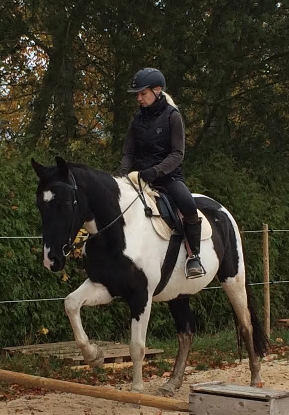 Pinto Bounty billede 11