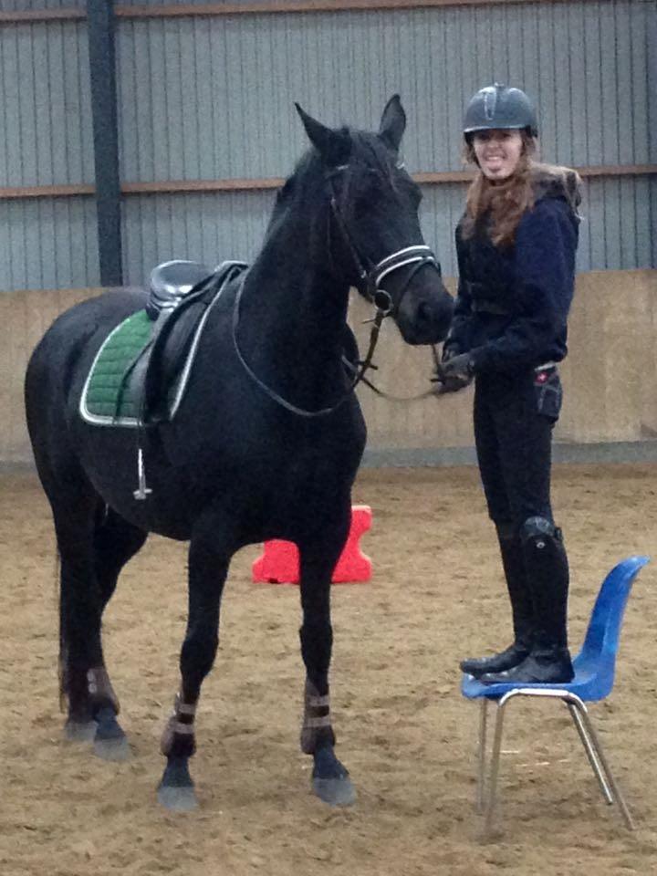 Dansk Varmblod Birkholm's oline billede 6