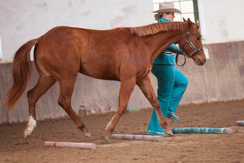 Quarter Slowmovin Hot Fudge billede 35