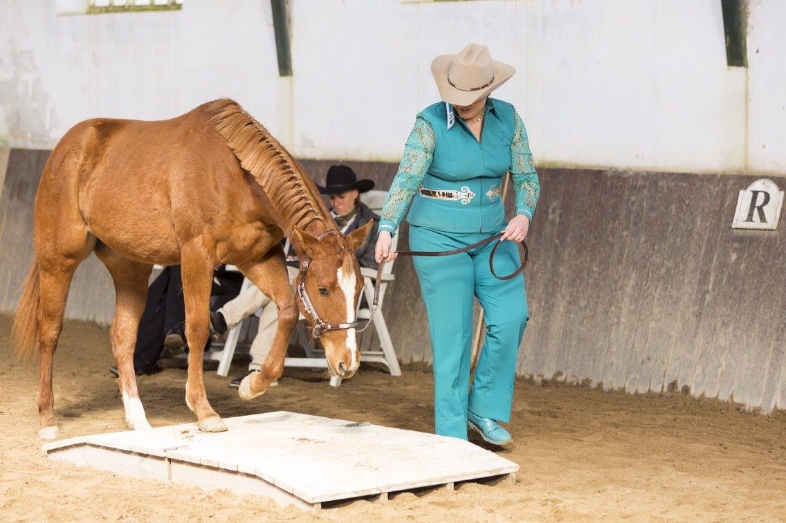 Quarter Slowmovin Hot Fudge billede 36