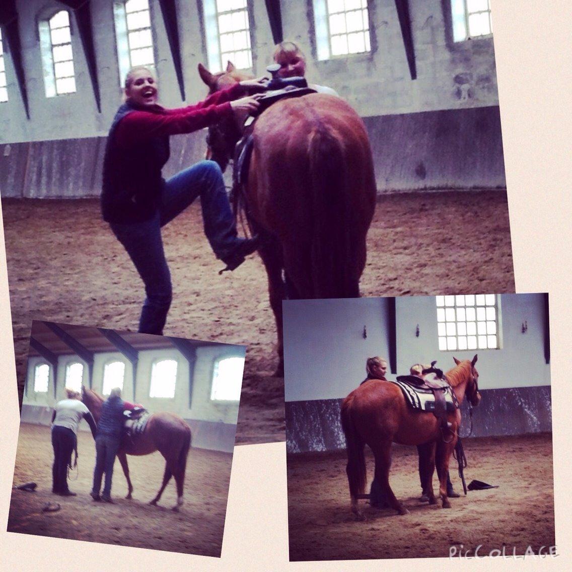 Quarter Slowmovin Hot Fudge billede 39