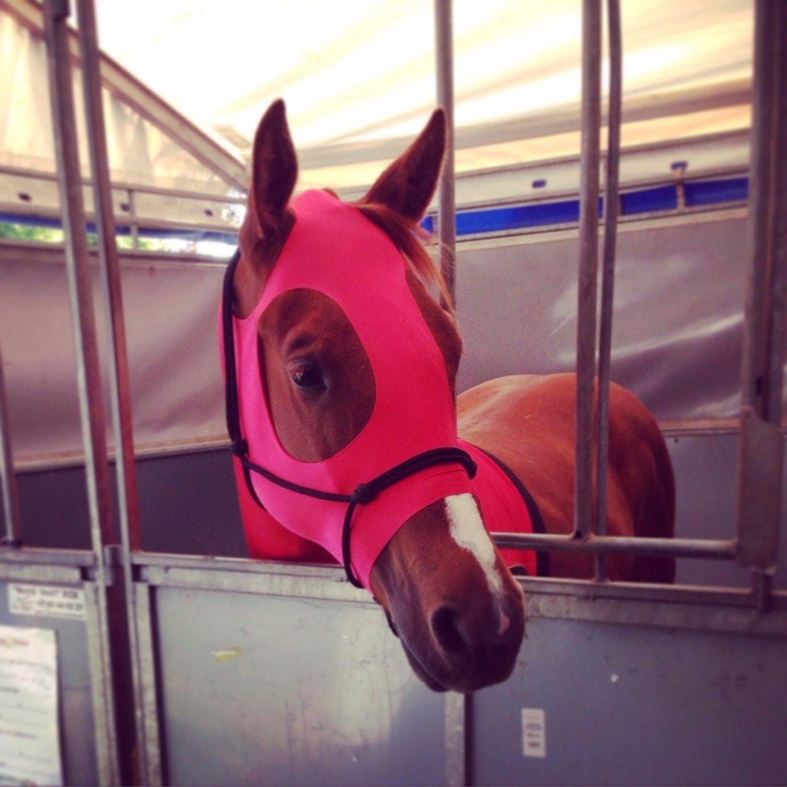 Quarter Slowmovin Hot Fudge billede 41