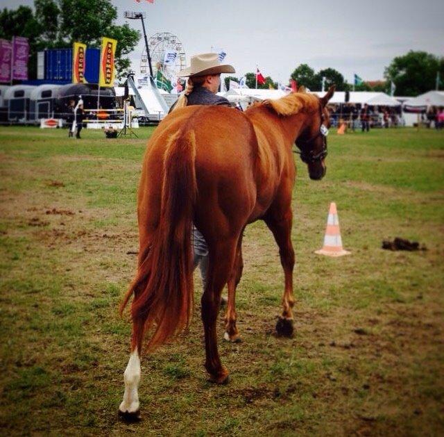 Quarter Slowmovin Hot Fudge billede 46