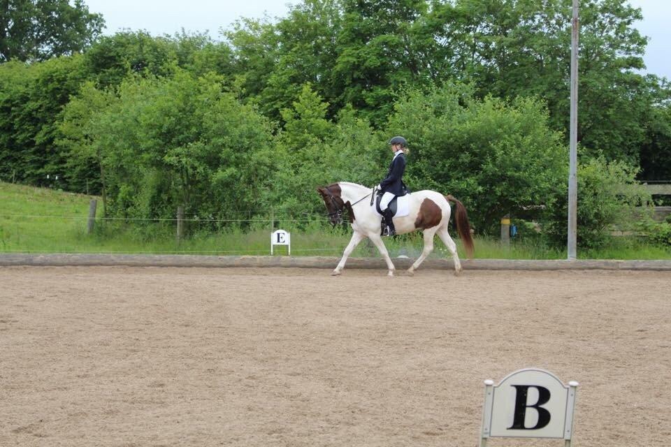 Anden særlig race Leopold - Fra første rigtige stævne med bassen <3 billede 13