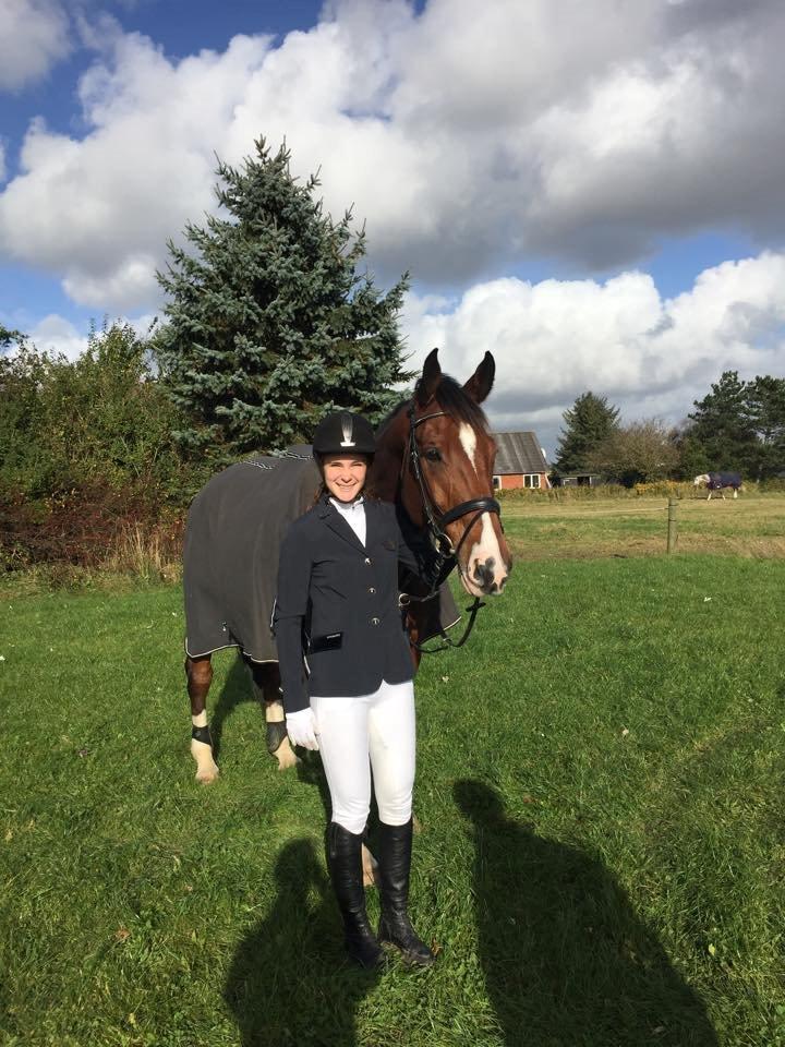 Dansk Varmblod Hedens juventus - stævne Guldager billede 7