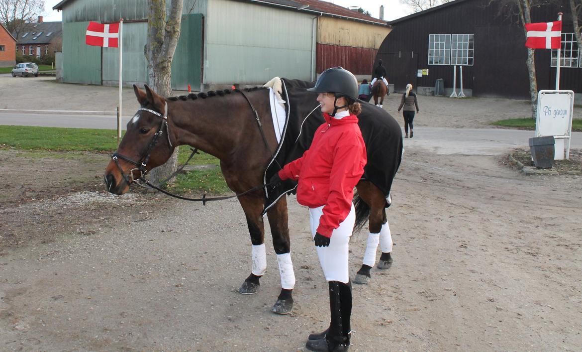 Oldenborg Ayla - Little A <3 billede 11