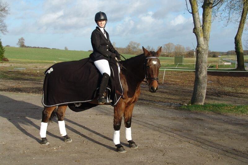 Oldenborg Ayla - Første stævne 14/11-2015 billede 17