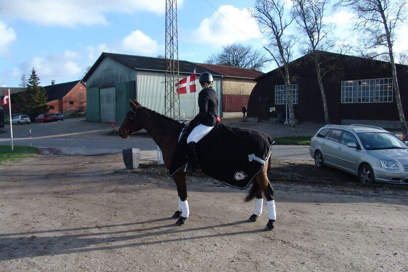 Oldenborg Ayla - Første stævne 14/11-2015 billede 18