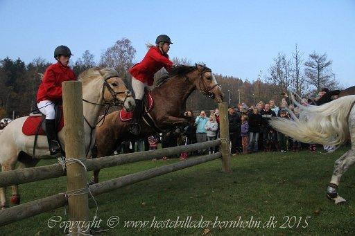 Anden særlig race Yellow billede 9