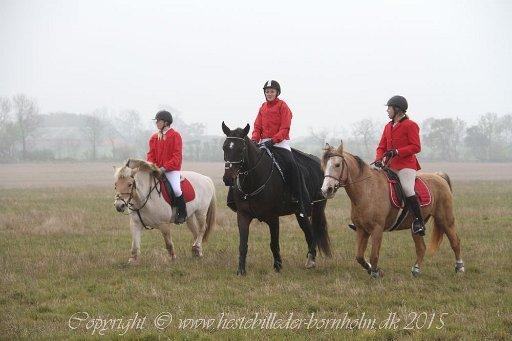 Anden særlig race Yellow billede 12