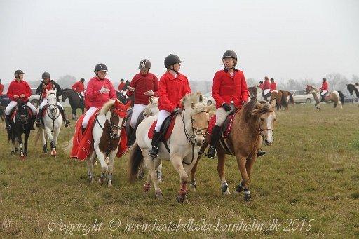 Anden særlig race Yellow billede 13