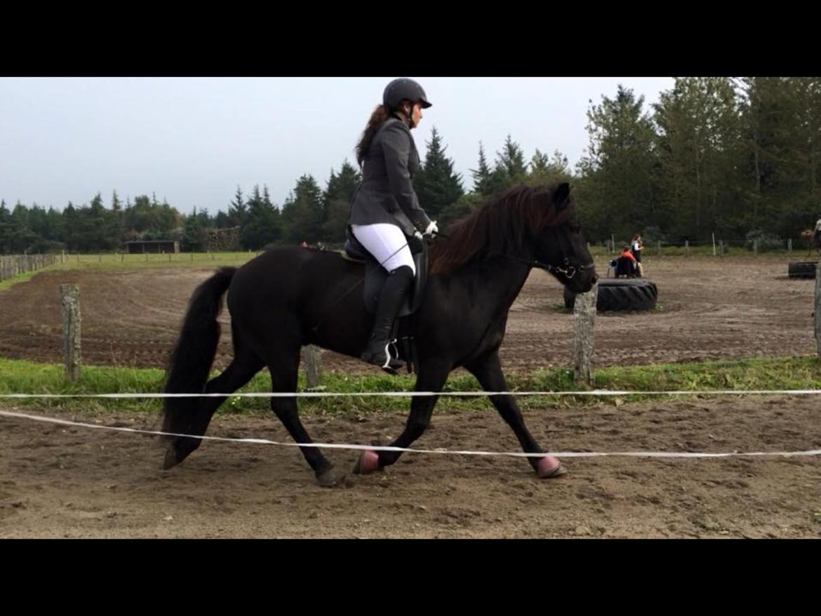 Islænder Geysir herborgvej billede 5