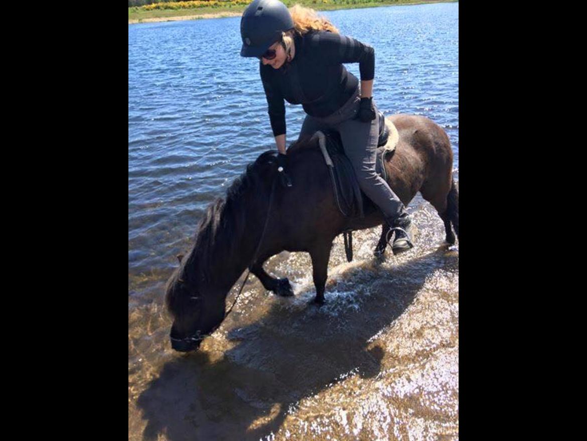 Islænder Geysir herborgvej billede 11