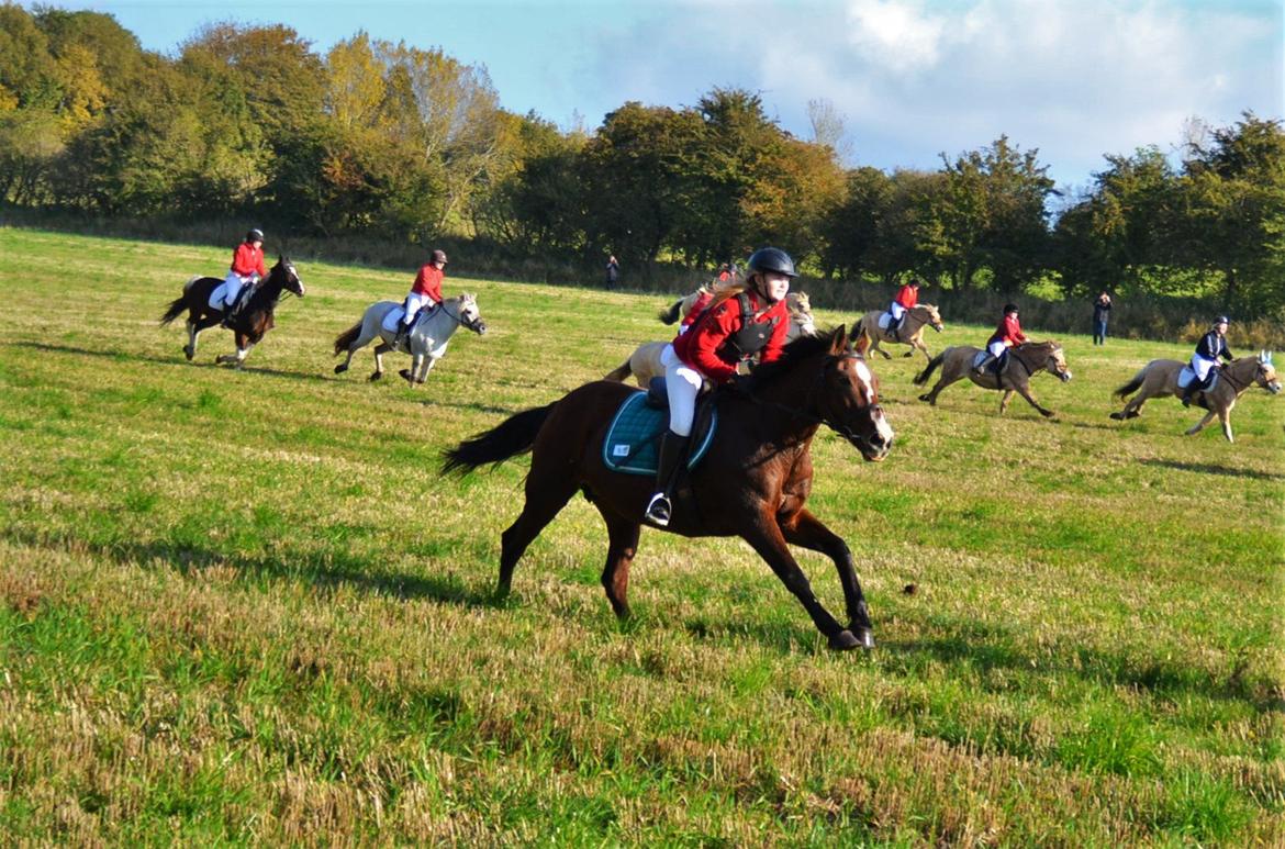 DSP Ronja  - Opløb :p 2015. billede 5