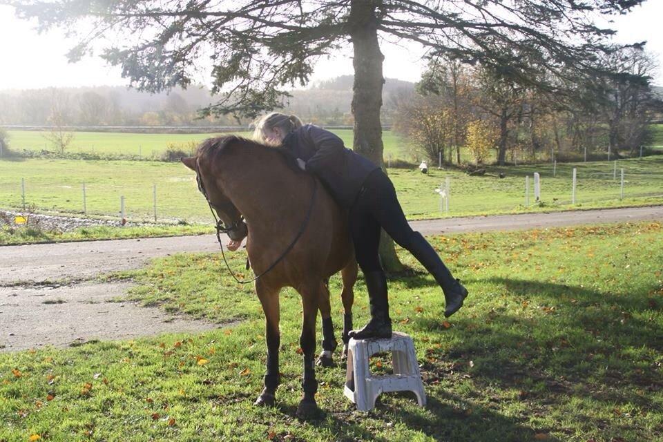 Anden særlig race X billede 7