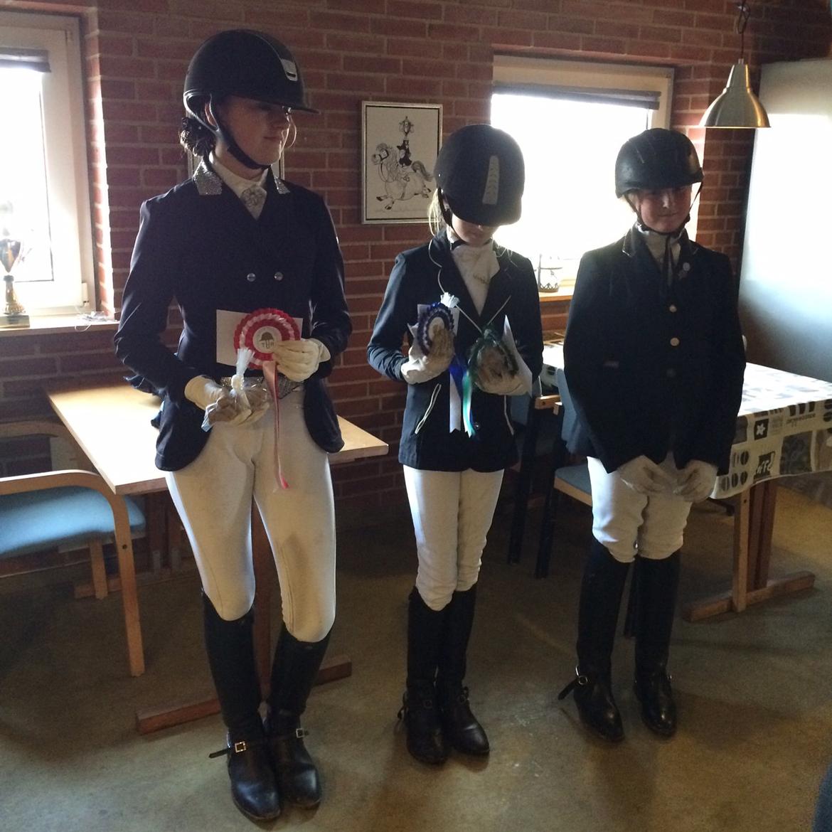 Dartmoor Phoibos apollon billede 17