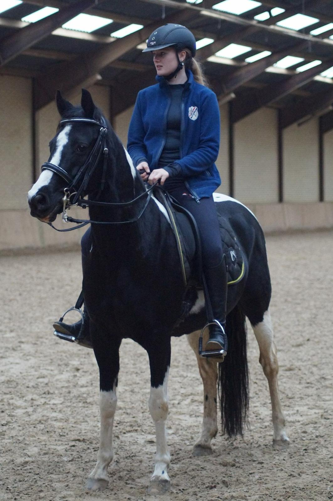 Paint Eskelunds Helga <3  - Stjernen over alle stjerner <3  billede 9