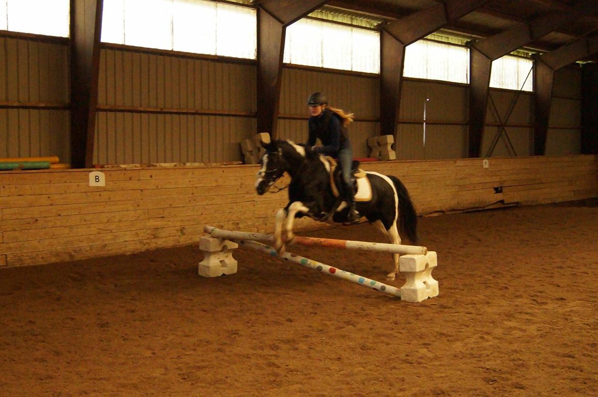 Paint Eskelunds Helga <3  - Første spring efter 1 års spring pause <3  billede 18