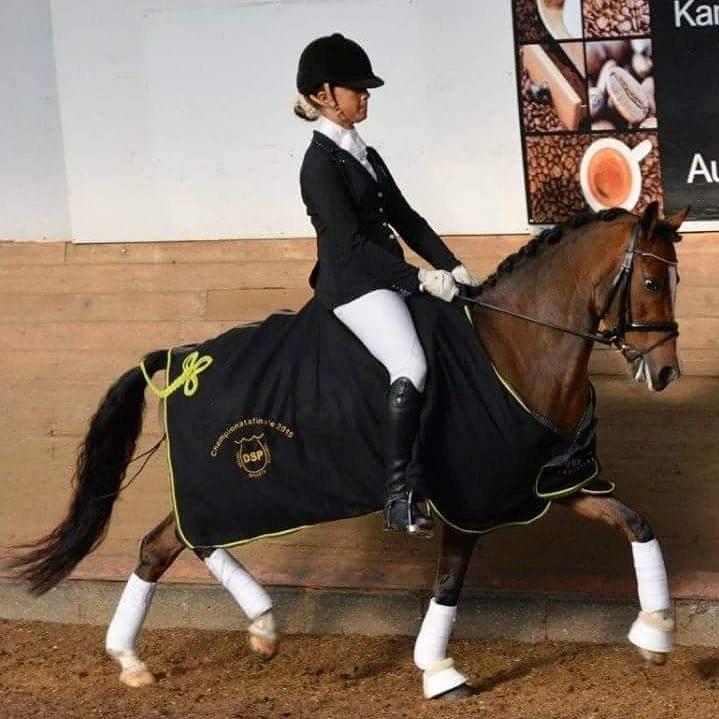 Welsh Partbred (Sec F) Katrinebjergs Ronja   A-pony billede 1