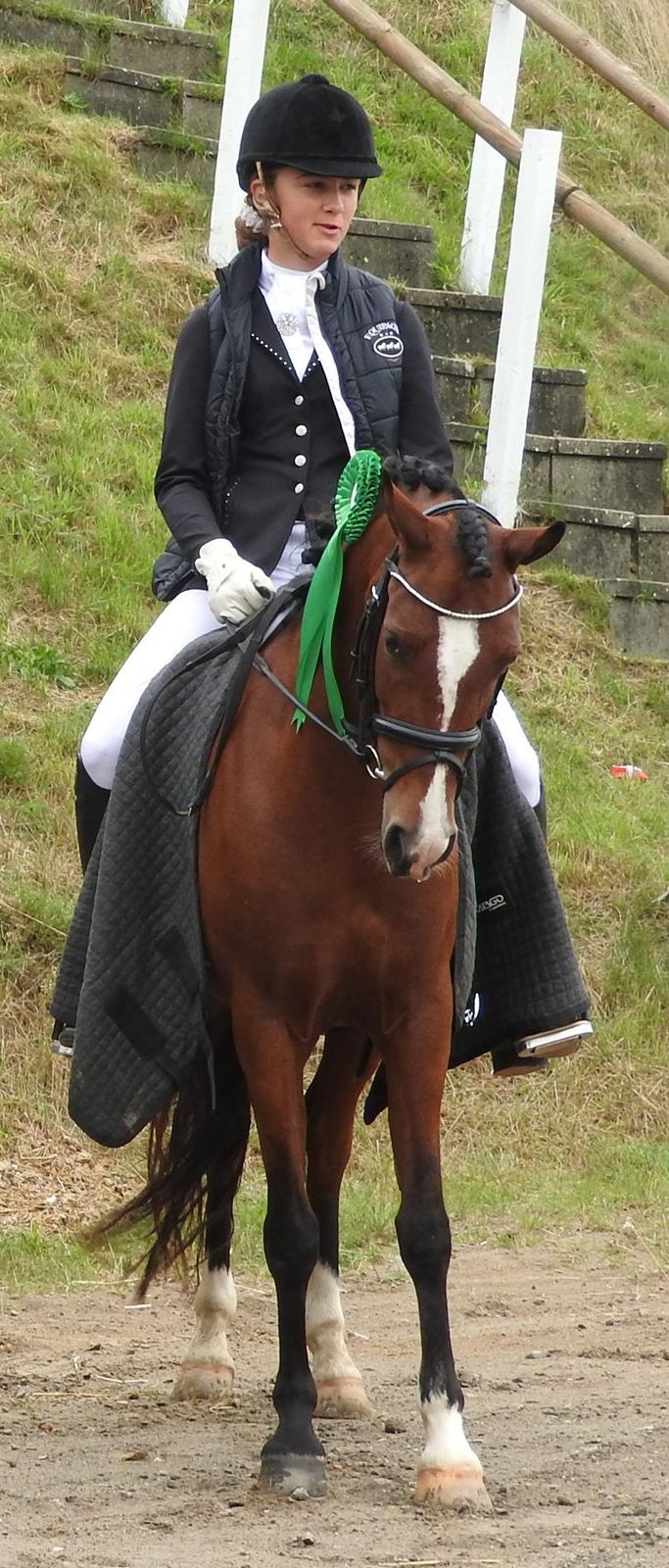 Welsh Partbred (Sec F) Katrinebjergs Ronja   A-pony billede 10