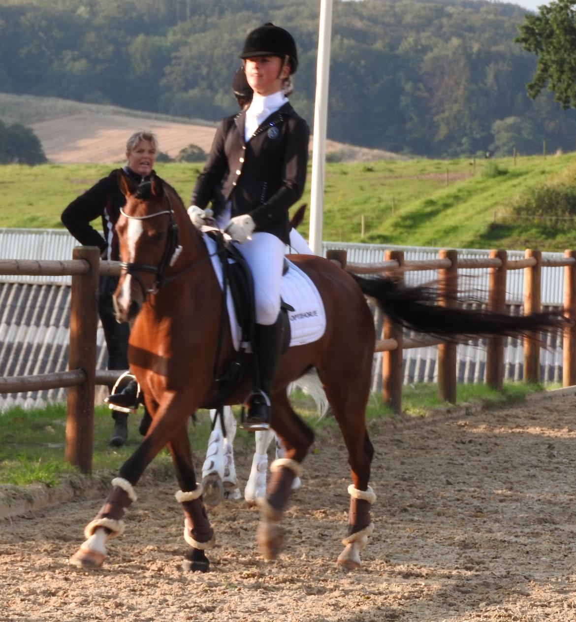 Welsh Partbred (Sec F) Katrinebjergs Ronja   A-pony billede 9