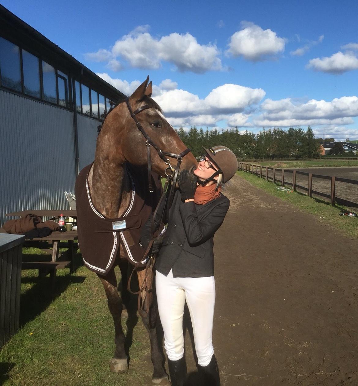 Knabstrupper Altena Vejlø billede 42