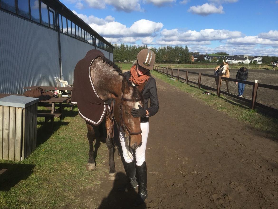 Knabstrupper Altena Vejlø billede 43