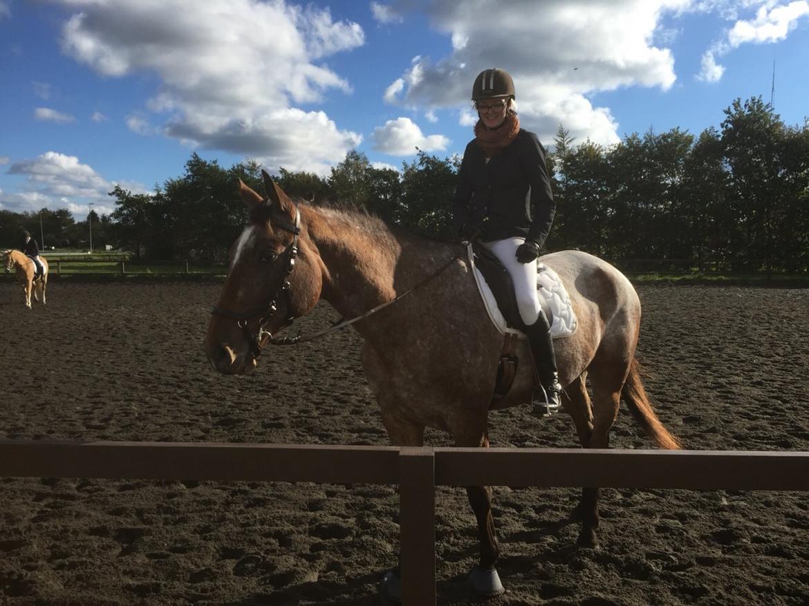 Knabstrupper Altena Vejlø billede 45