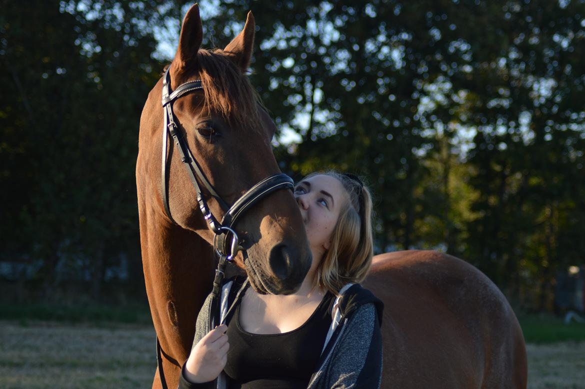 Anden særlig race Bailey - <3 <3  billede 6