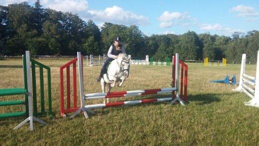 Welsh Pony (sec B) Serenity D billede 19
