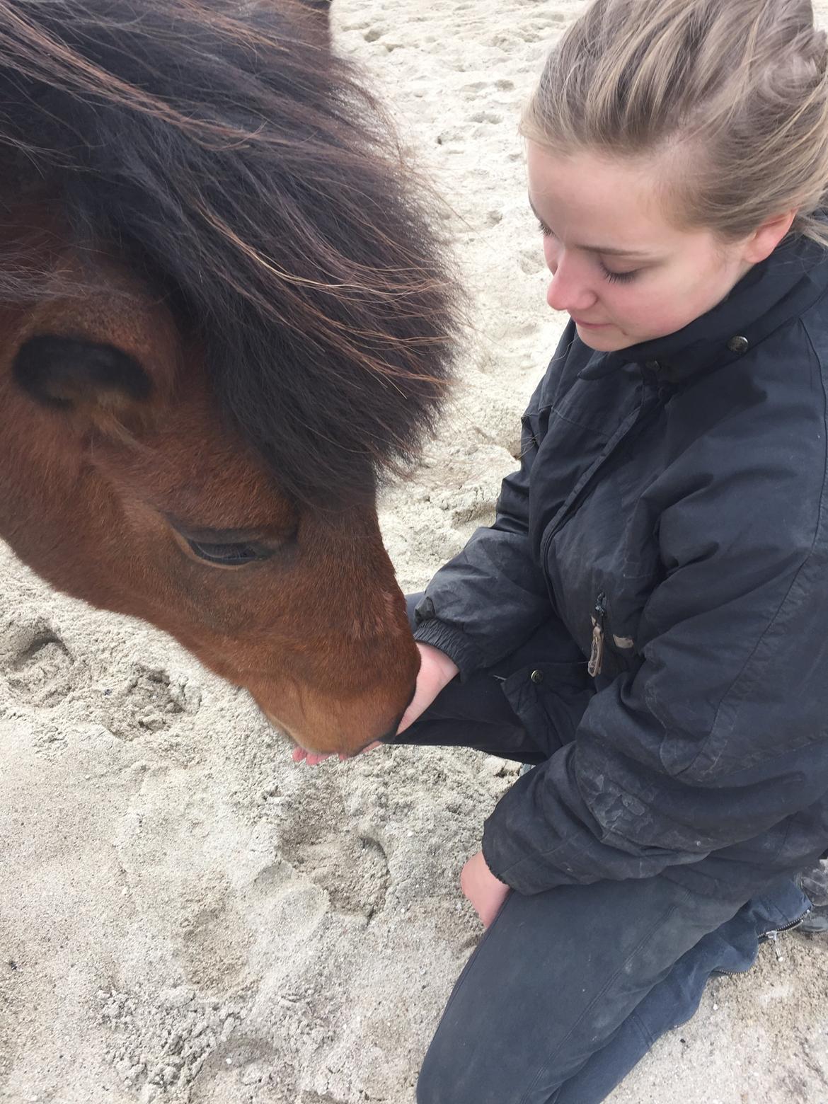 Islænder Vigdis fra Frederiksdal billede 29
